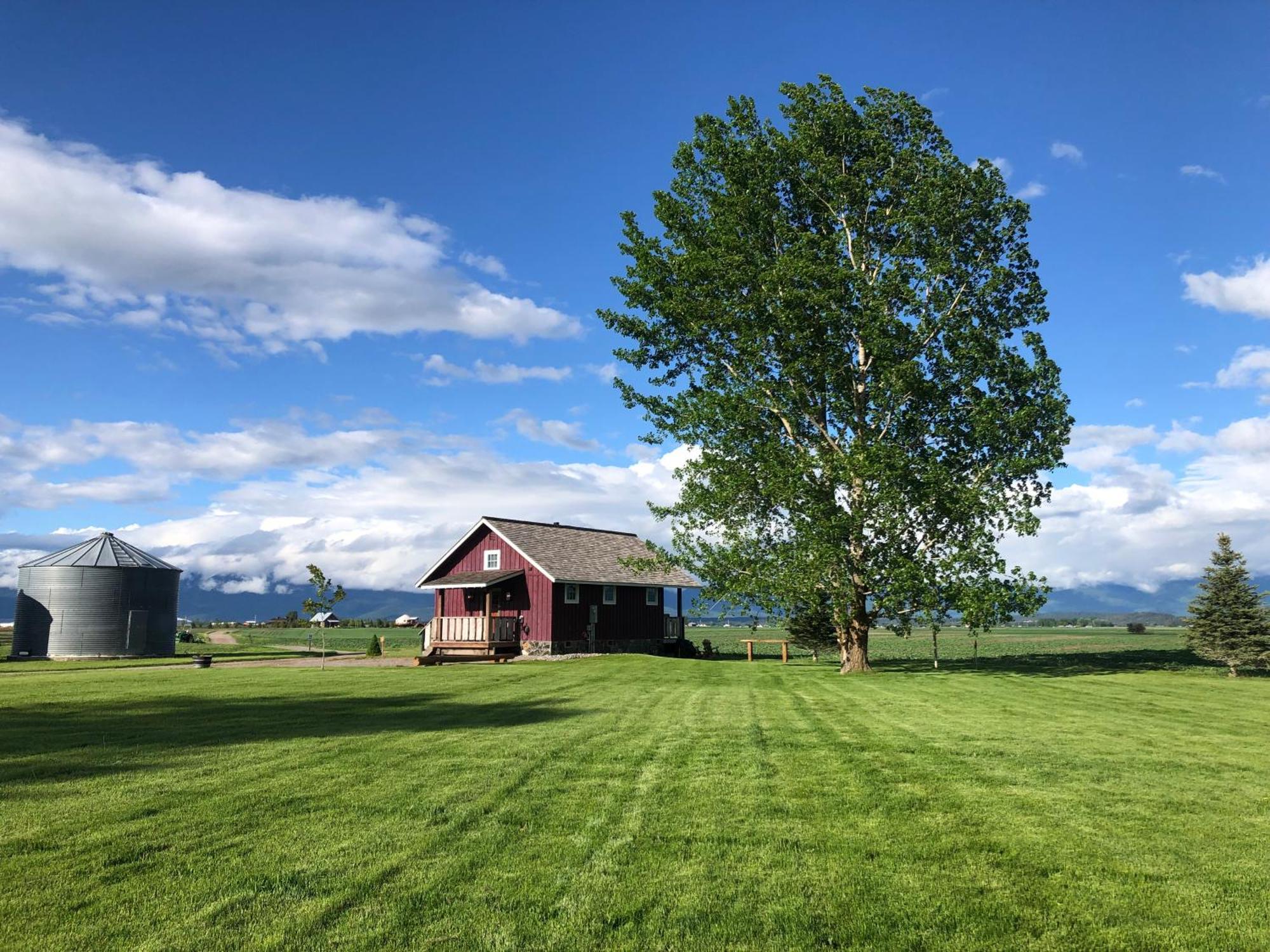New Cabin With Spectacular Views Of Flathead Lake. Somers Eksteriør billede