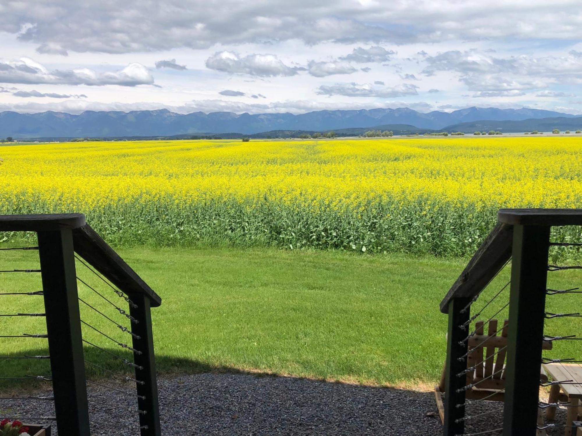 New Cabin With Spectacular Views Of Flathead Lake. Somers Eksteriør billede